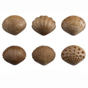 ECOFRIENDLY TACTILE SET